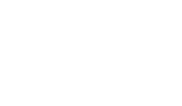 Flibussteries – BD, Illustration à Lyon